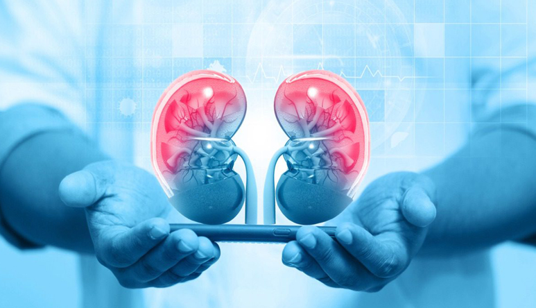 Nephrology