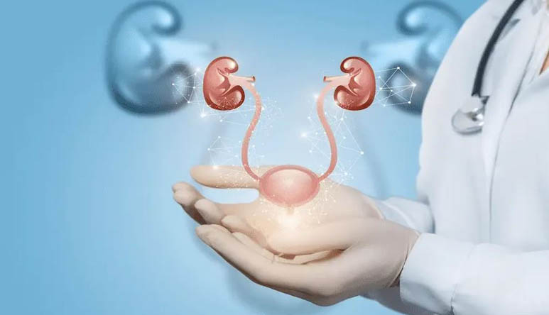 Urology