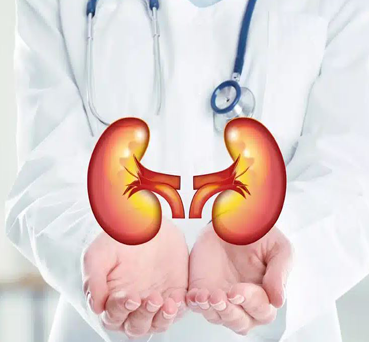 Nephrology