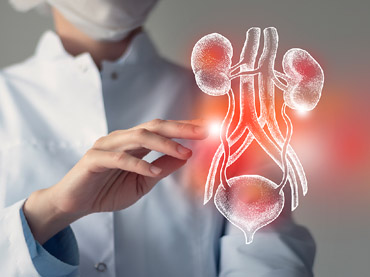 Nephrology